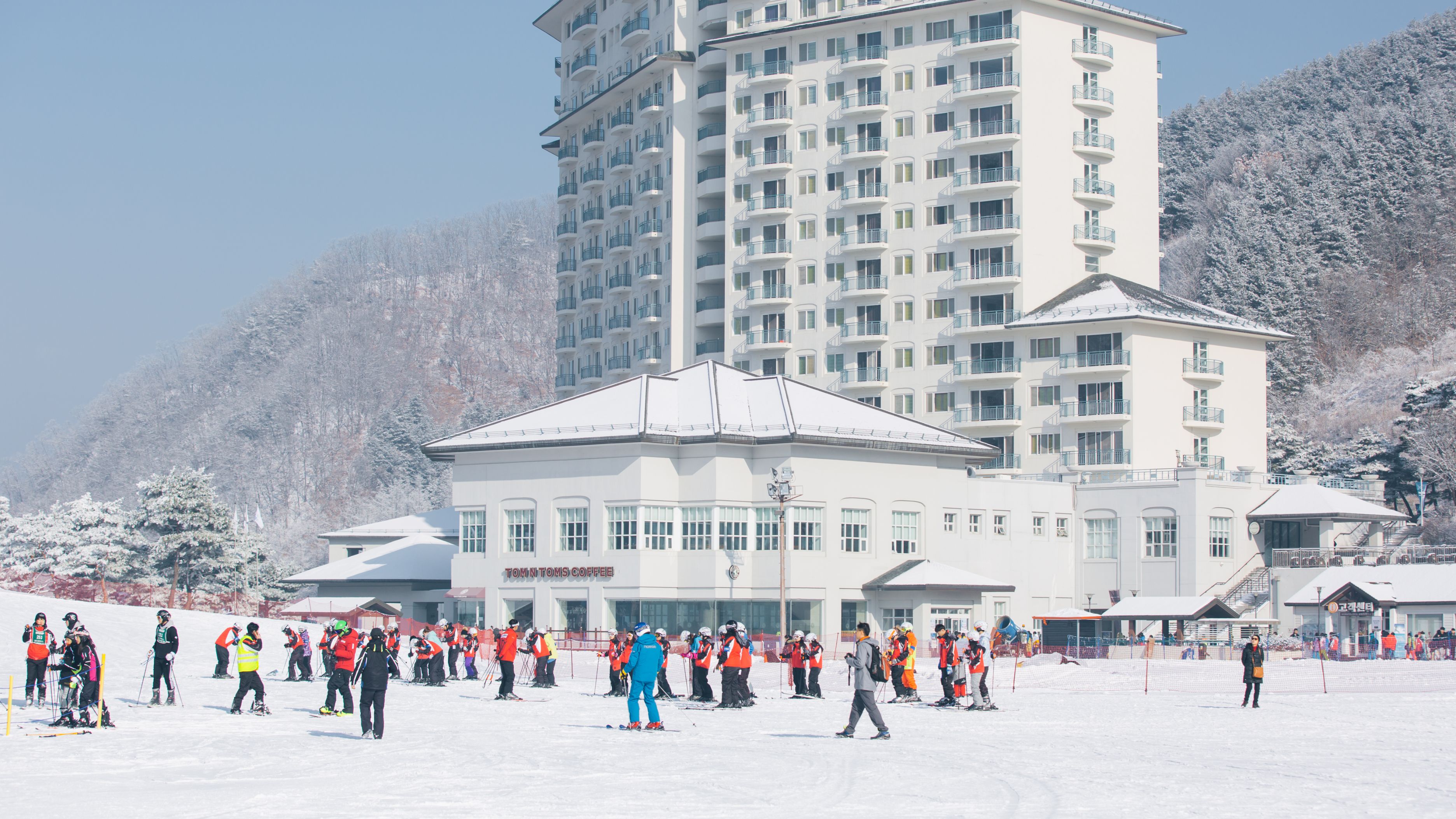 Elysian Gangchon Winter Ski & Nami Island Day Tour - Photo 1 of 7